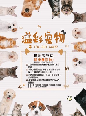 專(zhuān)業(yè)寵物服務(wù)，呵護(hù)愛(ài)寵健康與快樂(lè)